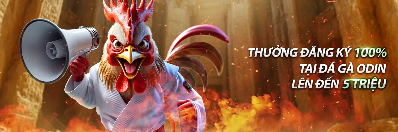 Hình ảnh chính blog ok83863 đăng nhập